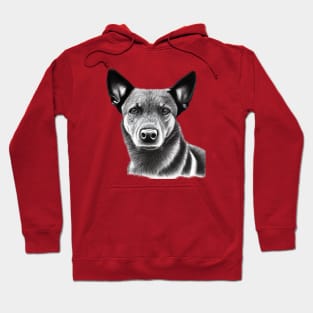 Australian Stumpy Tail Cattle Dog Hoodie